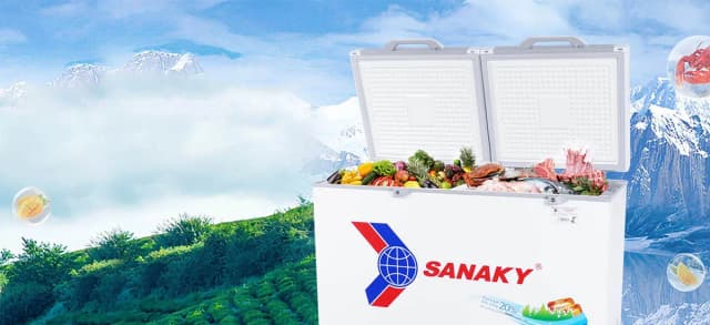 So sánh giá Tủ đông Sanaky 305 lít VH-4099A2KD rẻ nhất? - Ảnh 8