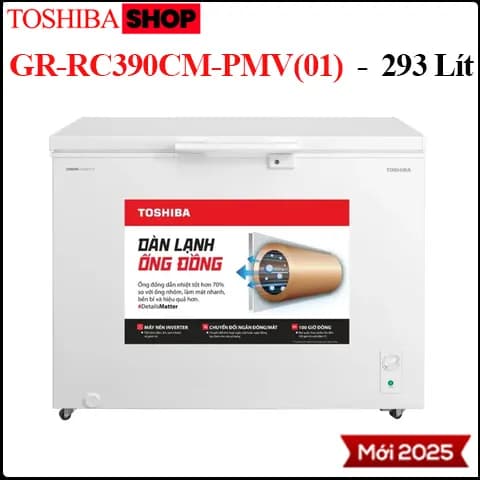 So sánh giá Tủ đông Toshiba Inverter 362 lít GR-RC470CM-PMV(01) rẻ nhất? - Ảnh 6