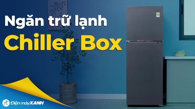 So sánh giá Tủ lạnh Aqua Inverter 328 lít AQR-T380FA(SL) rẻ nhất? - Ảnh 14