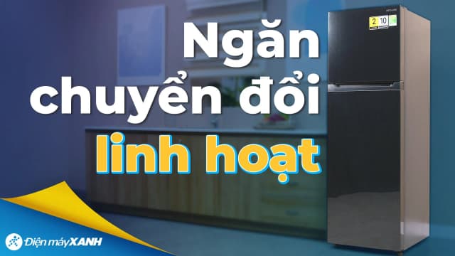 So sánh giá Tủ lạnh Hitachi Inverter 260 lít HRTN5275MFUVN rẻ nhất? - Ảnh 9