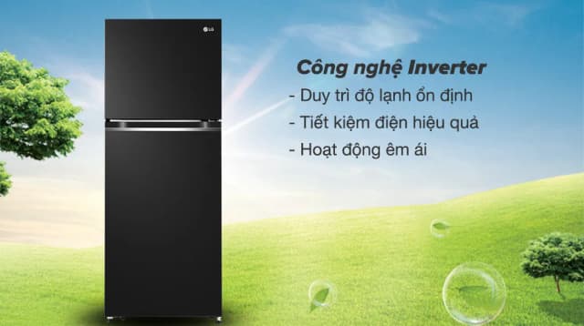 So sánh giá Tủ lạnh LG Inverter 217 lít T21BG rẻ nhất? - Ảnh 13