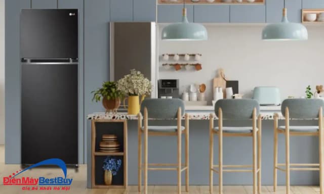 So sánh giá Tủ lạnh LG Inverter 217 lít T21BG rẻ nhất? - Ảnh 17