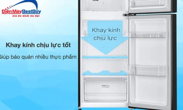 So sánh giá Tủ lạnh LG Inverter 217 lít T21BG rẻ nhất? - Ảnh 10