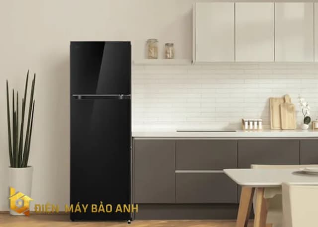 So sánh giá Tủ lạnh LG Inverter 266 lít T26BG rẻ nhất? - Ảnh 19