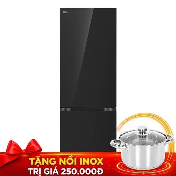Tủ lạnh LG Inverter 335 lít B33BG - Ảnh 3
