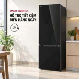 Tủ lạnh LG Inverter 335 lít B33BG - Giá rẻ nhất hôm nay - Ảnh 5