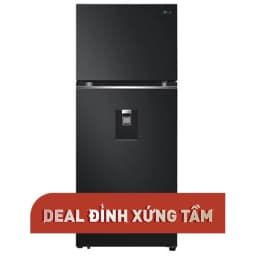 Tủ lạnh LG Inverter 374 lít LTD37BLM - Giá rẻ nhất hôm nay - Ảnh 6