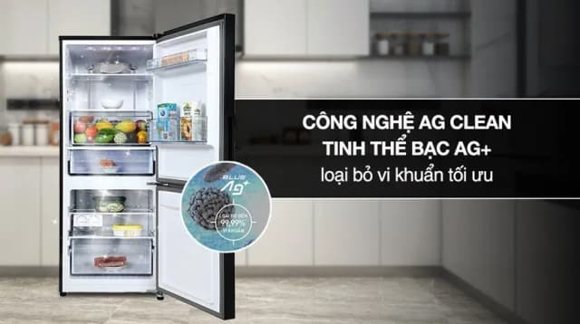 So sánh giá Tủ lạnh Panasonic Inverter 251 lít NR-SP275CPAV rẻ nhất? - Ảnh 13