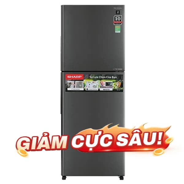 So sánh giá Tủ lạnh Sharp Inverter 360 lít SJ-XP382AE-DS rẻ nhất? - Ảnh 14