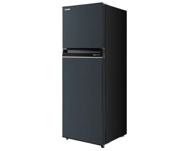 So sánh giá Tủ lạnh Toshiba Inverter 233 lít GR-RT303WE-PMV(52) rẻ nhất? - Ảnh 12