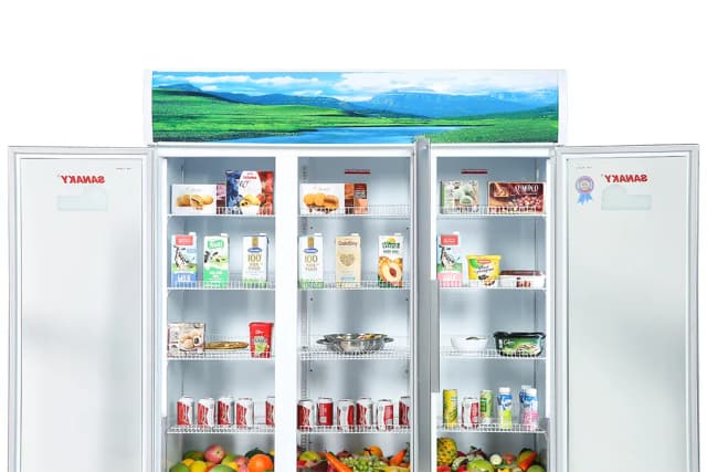 So sánh giá Tủ mát Sanaky 1400 lít TM.VH1520HP rẻ nhất? - Ảnh 12