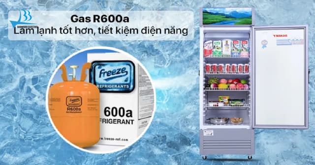 So sánh giá Tủ mát Sanaky 290 lít TM.VH358KL rẻ nhất? - Ảnh 19