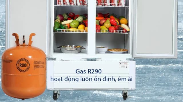 So sánh giá Tủ mát Sanaky 700 lít TM.VH8009HP rẻ nhất? - Ảnh 11