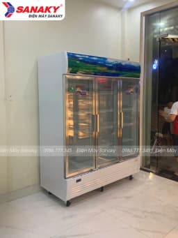 So sánh giá Tủ mát Sanaky Inverter 1400 lít VH-1520HP3 - Tìm sản phẩm giá rẻ nhất - Ảnh 11