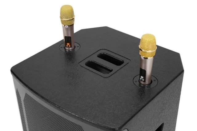 So sánh giá Loa kéo karaoke Zenbos K-200 600W rẻ nhất? - Ảnh 9