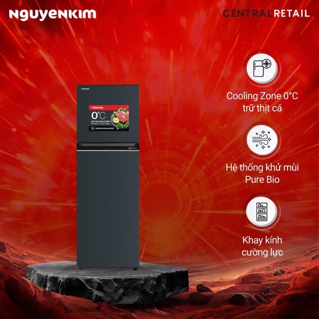 Tủ lạnh 2 cánh Toshiba Inverter 253 lít ngăn đông trên GR-RT329WE-PMV(52) - Ảnh 9