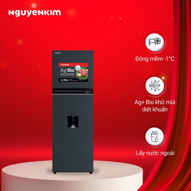 Tủ lạnh 2 cánh Toshiba Inverter 249 lít ngăn đông trên GR-RT325WE-PMV(06)-MG - Ảnh 12