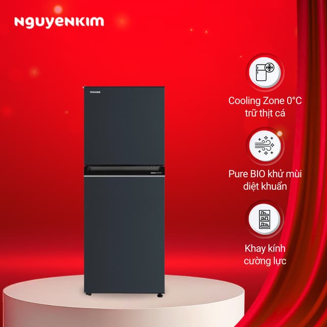 Tủ lạnh 2 cánh Toshiba Inverter 194 lít ngăn đông trên GR-RT252WE-PMV(52) - Ảnh 6