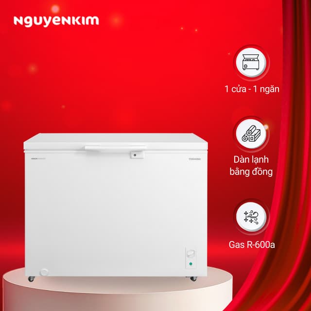 [Mới 2025] Tủ đông Toshiba Inverter 293 lít GR-RC390CM-PMV(01) - Ảnh 9