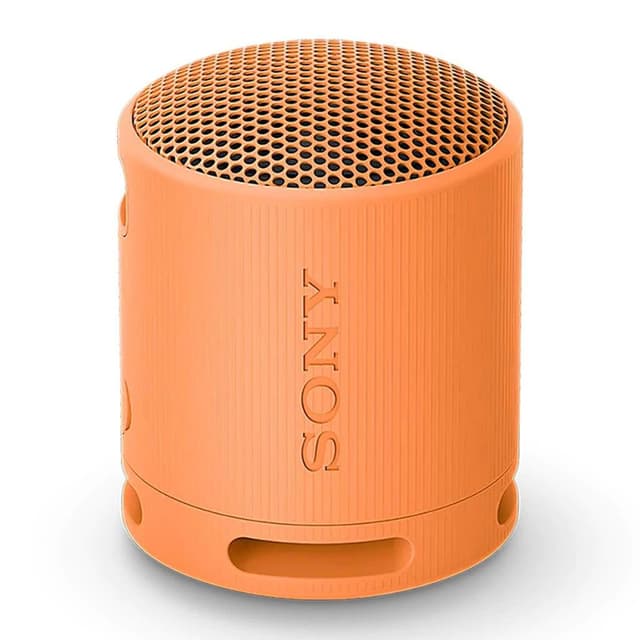 Loa bluetooth di động nhỏ gọn Sony SRS-XB100 - Ảnh 11