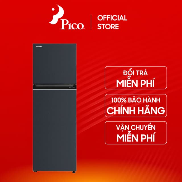 [Pico Official - Lắp đặt 0Đ HN HCM] Tủ lạnh Toshiba inverter 253 lít GR-RT329WE-PMV(52) - Ảnh 8