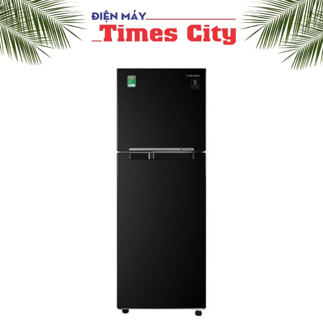 Tủ lạnh Samsung Inverter 256 lít RT25M4032BU/SV - Ảnh 3