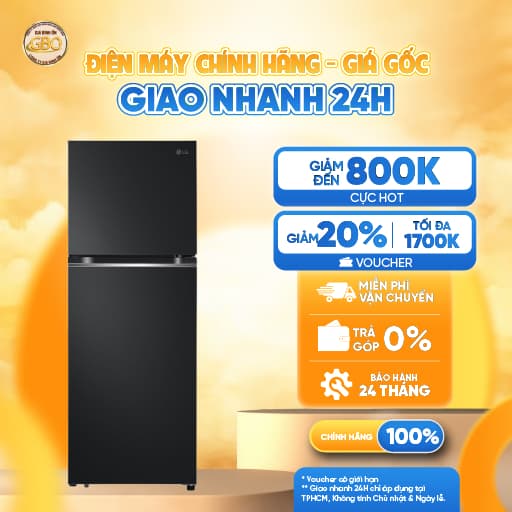 LTB31BLM - Tủ Lạnh LG Inverter 315 lít - Ảnh 6