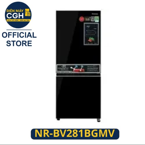 Tủ lạnh Panasonic Inverter 255 lít NR-BV281BGMV - Ảnh 1