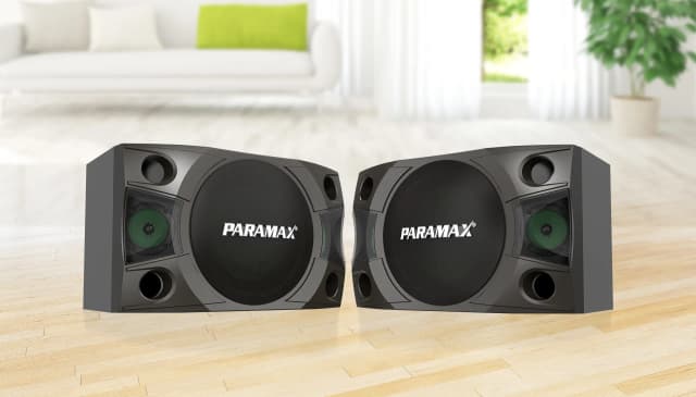 So sánh giá Cặp loa karaoke Paramax LX-850 400W rẻ nhất? - Ảnh 11