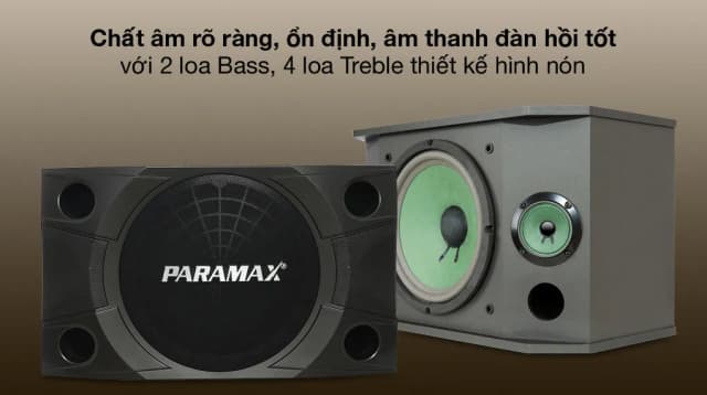 So sánh giá Cặp loa karaoke Paramax LX-850 400W rẻ nhất? - Ảnh 5