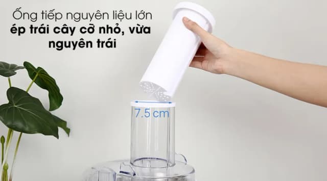 Top 1 so sánh giá Máy ép trái cây Hommy GS-321 - Tìm sản phẩm giá rẻ nhất - Ảnh 14