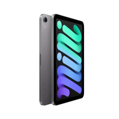 Máy tính bảng iPad mini 7 5G 128GB - 13