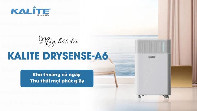 So sánh giá Máy hút ẩm Kalite DrySense A6 rẻ nhất? - Ảnh 14