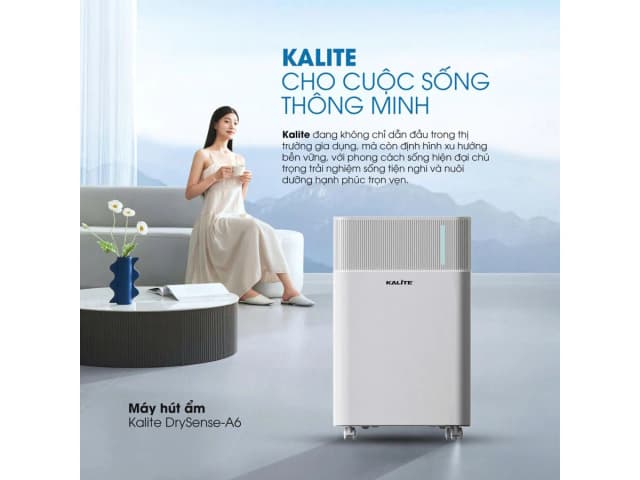 So sánh giá Máy hút ẩm Kalite DrySense A6 rẻ nhất? - Ảnh 5