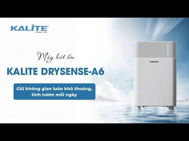 So sánh giá Máy hút ẩm Kalite DrySense A6 rẻ nhất? - Ảnh 9