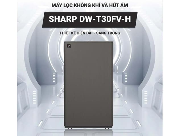So sánh giá Máy hút ẩm kết hợp lọc không khí Sharp DW-T30FV-H rẻ nhất? - Ảnh 11