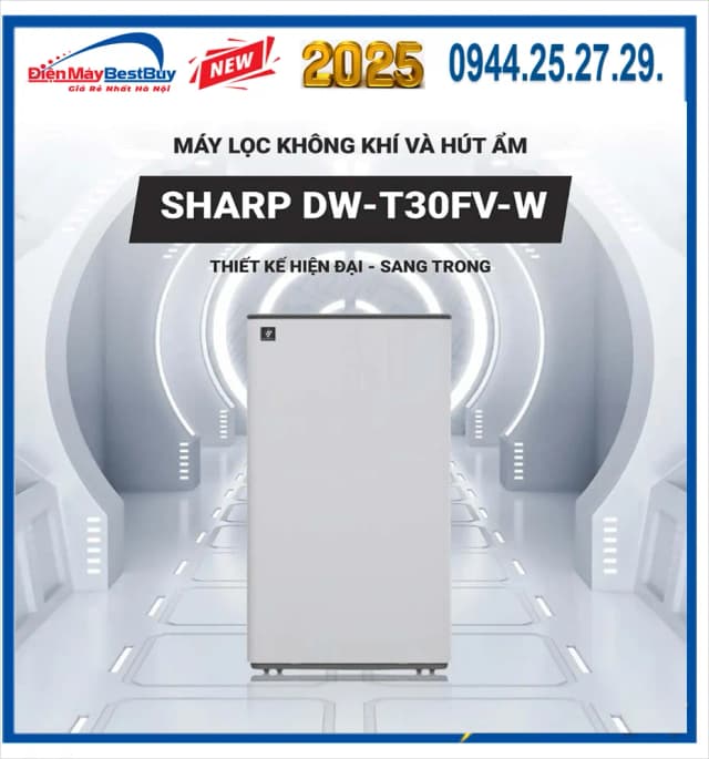 So sánh giá Máy hút ẩm kết hợp lọc không khí Sharp DW-T30FV-H rẻ nhất? - Ảnh 13