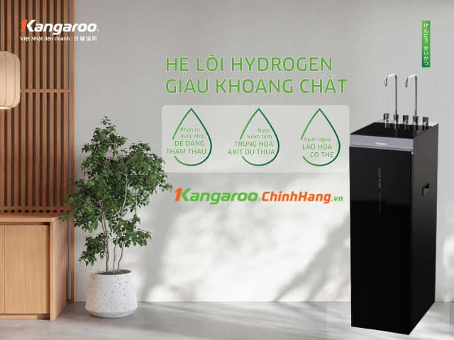 Top 1 so sánh giá Máy lọc nước RO nóng nguội lạnh Hydrogen Kangaroo KG12S2H4 12 lõi - Tìm sản phẩm giá rẻ nhất - Ảnh 16