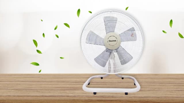Top 1 so sánh giá Quạt bàn Duxton 5 cánh B4 DGF-40B 50W - Tìm sản phẩm giá rẻ nhất - Ảnh 3