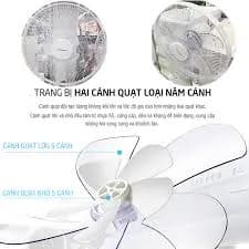 So sánh giá Quạt đứng Lock&Lock 3 cánh ENF156IVY 28W rẻ nhất? - Ảnh 16