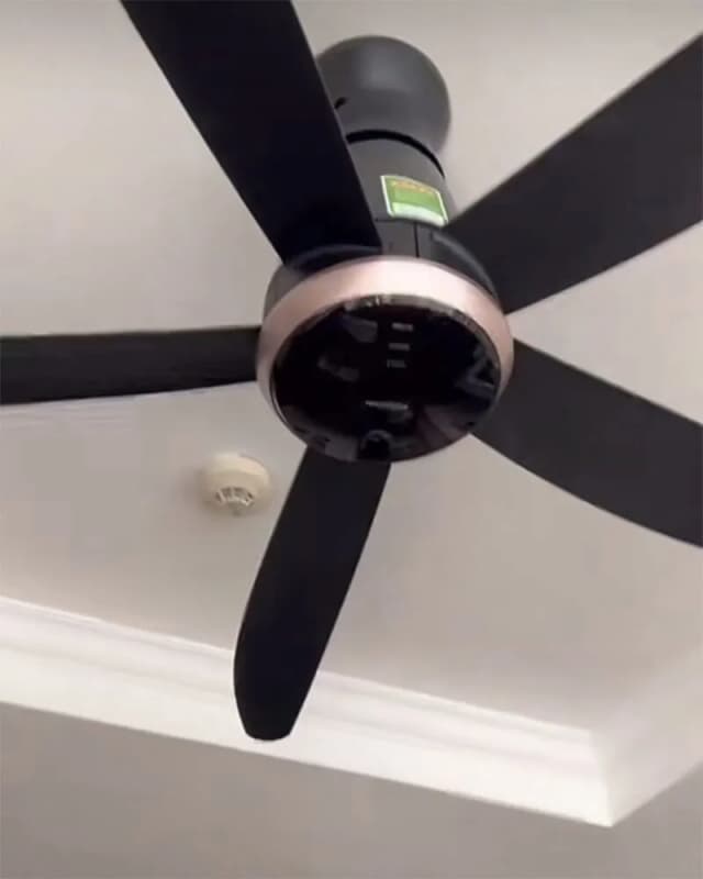 So sánh giá Quạt trần Panasonic 5 cánh F-60FEN 40W rẻ nhất? - Ảnh 18