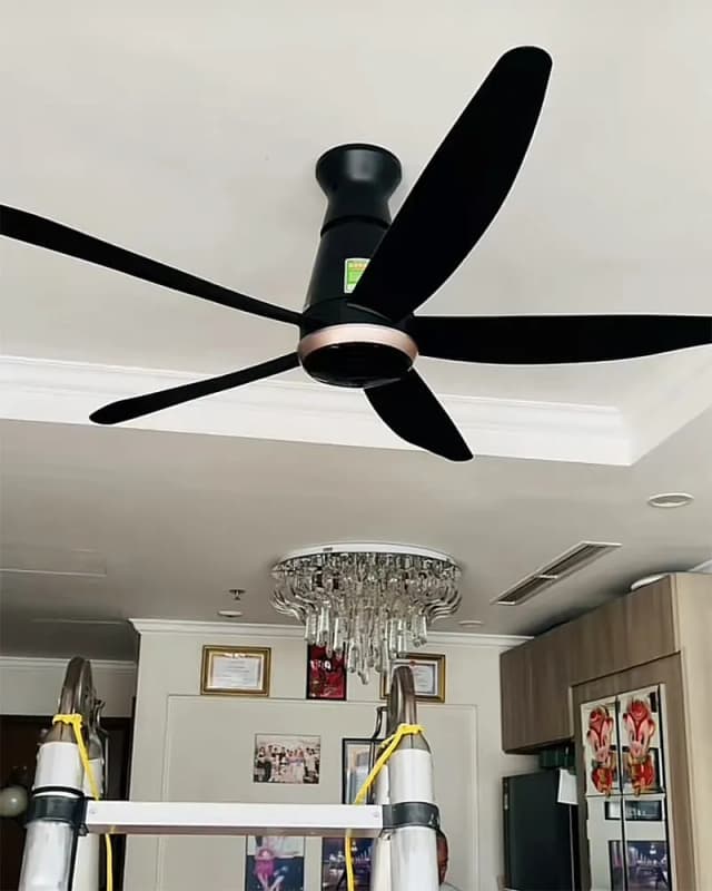 So sánh giá Quạt trần Panasonic 5 cánh F-60FEN 40W rẻ nhất? - Ảnh 6