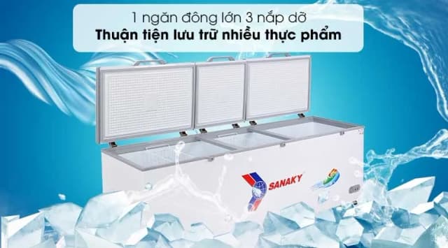 So sánh giá Tủ đông Sanaky 900 lít VH-1199HY rẻ nhất? - Ảnh 19