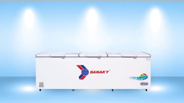 So sánh giá Tủ đông Sanaky 900 lít VH-1199HY rẻ nhất? - Ảnh 9
