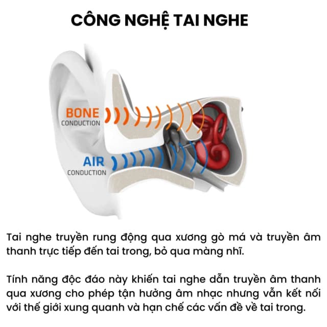 So sánh giá Tai nghe Bluetooth truyền xương Shokz OPENRUN S803 rẻ nhất? - Ảnh 19