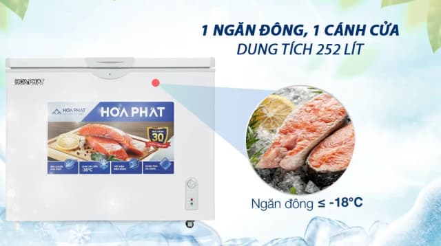 So sánh giá Tủ đông Hòa Phát 252 lít HPF AD6252 rẻ nhất? - Ảnh 19