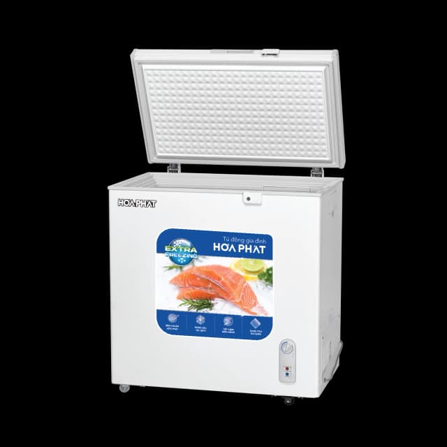 So sánh giá Tủ đông Hòa Phát 162 Lít HPF AD6162 rẻ nhất? - Ảnh 14