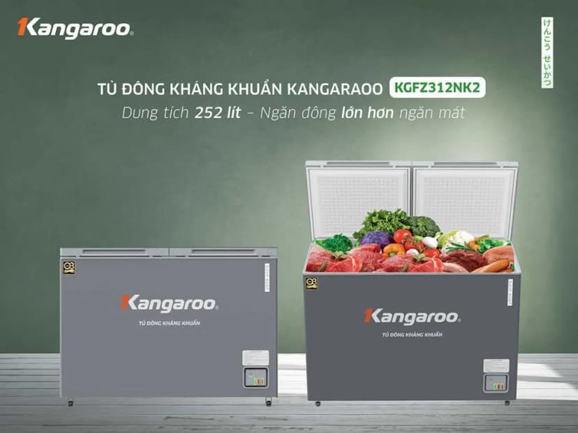 So sánh giá Tủ đông Kangaroo 252 lít KGFZ318NG2 - Tìm sản phẩm giá rẻ nhất - Ảnh 11
