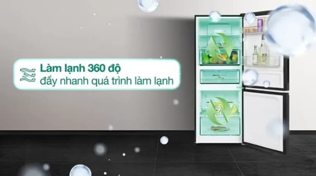 So sánh giá Tủ lạnh Aqua Inverter 260 lít AQR-B310MA(FB) rẻ nhất? - Ảnh 16