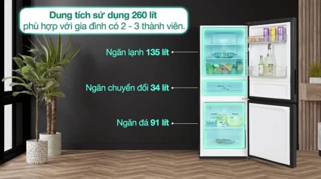 So sánh giá Tủ lạnh Aqua Inverter 260 lít AQR-B310MA(FB) rẻ nhất? - Ảnh 10
